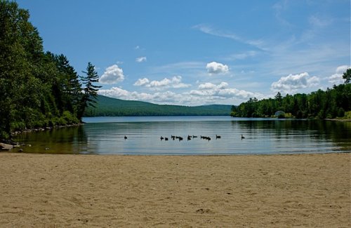 A serene lake scene with a sandy shore, surrounded by trees and mountains, featuring ducks swimming in the calm water.