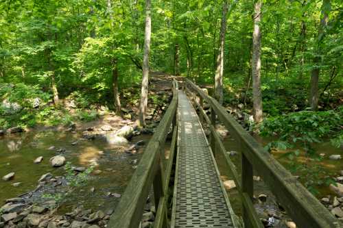 A wooden bridge spans a small stream, surrounded by lush green trees in a serene forest setting.