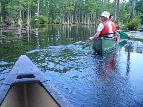 Two people canoeing on a calm lake surrounded by trees, with ripples in the water from their paddles.