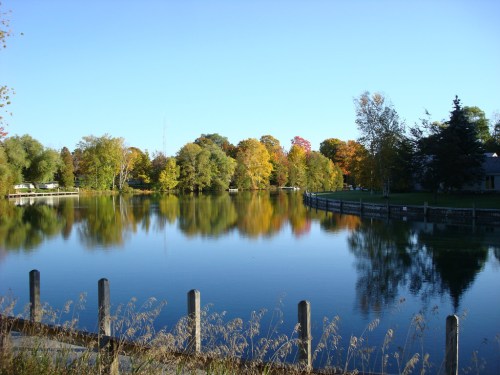 A serene lake surrounded by colorful autumn trees, reflecting the clear blue sky and gentle shoreline.