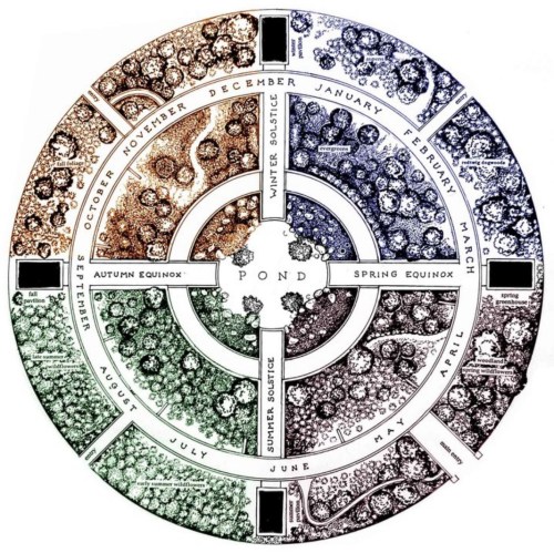 A circular seasonal calendar depicting a pond, with sections for each month and seasonal changes in nature.