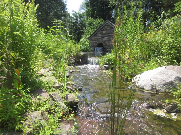 A Journey Into Nature's Quiet Symphony