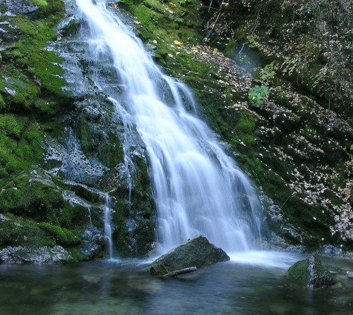 A serene waterfall cascading over moss-covered rocks into a clear pool, surrounded by lush greenery.