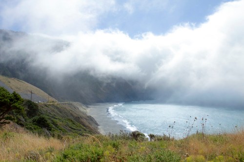 A coastal view with a sandy beach, cliffs, and foggy clouds over the ocean, surrounded by lush greenery.