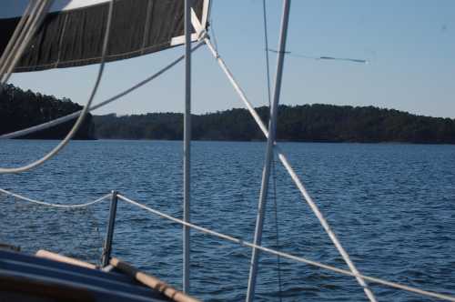 A view from a sailboat, featuring water and distant trees under a clear blue sky.