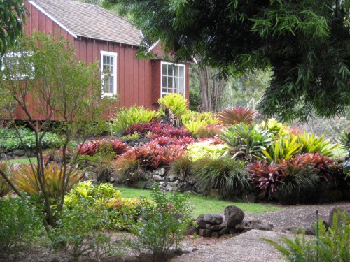 A vibrant garden with colorful bromeliads surrounds a charming red cottage under lush greenery.