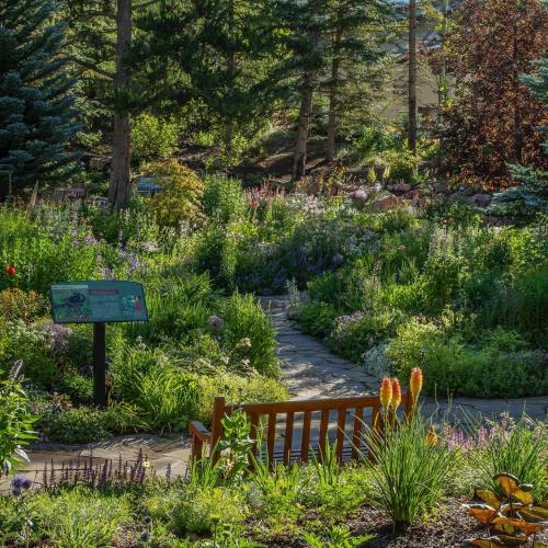 A vibrant garden with a winding path, colorful flowers, and a wooden bench surrounded by lush greenery and trees.