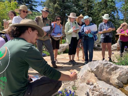 A group of people observes a guide demonstrating plant identification in a garden setting.