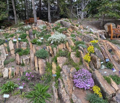A rocky garden with colorful flowers and greenery, surrounded by trees and wooden seating areas.