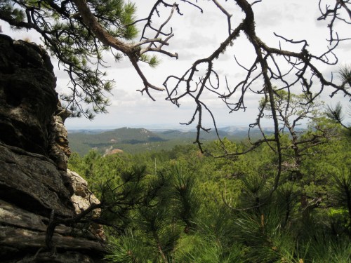 A scenic view of rolling hills and trees framed by branches and rocks, under a cloudy sky.