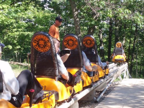 A group of people on a roller coaster ride, seated in yellow cars, with trees in the background.