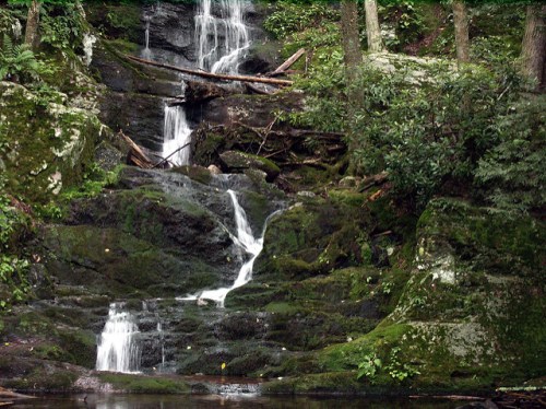 A serene waterfall cascading over moss-covered rocks, surrounded by lush greenery and trees.