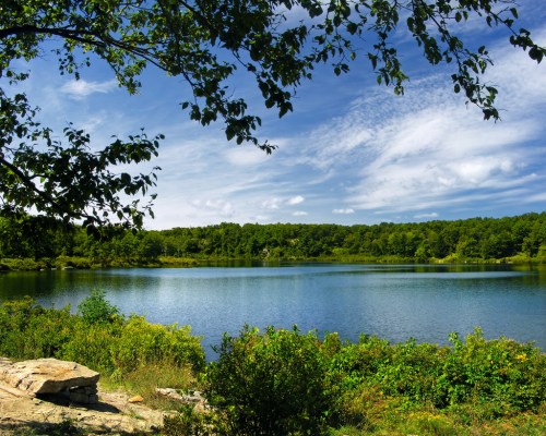 A serene lake surrounded by lush greenery and trees under a bright blue sky with scattered clouds.
