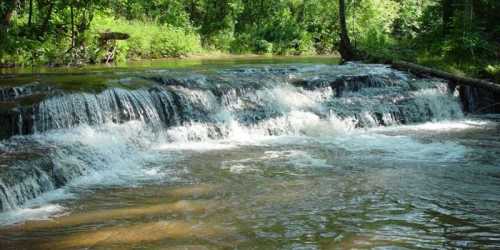 A serene waterfall cascading over rocks into a calm river, surrounded by lush green trees and foliage.