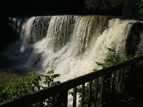 A cascading waterfall flows over rocks, surrounded by lush greenery and a wooden railing in the foreground.