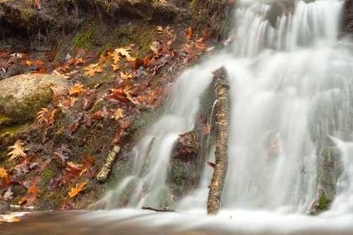 A serene waterfall cascades over rocks, surrounded by autumn leaves and mossy stones.