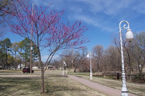 A park scene featuring a blooming tree, street lamps, and a pathway under a blue sky with scattered clouds.