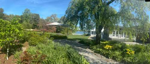 A serene garden scene with lush greenery, a pathway, and a house in the background under a clear blue sky.