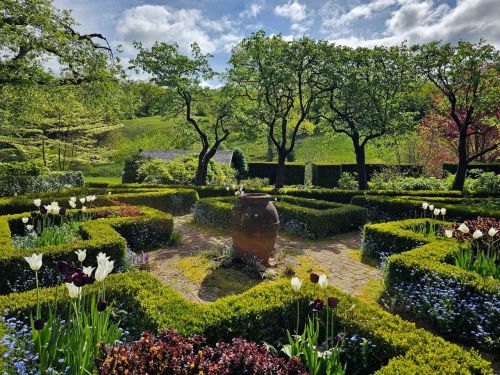 A serene garden with neatly trimmed hedges, colorful flowers, and a central pot under a blue sky with fluffy clouds.