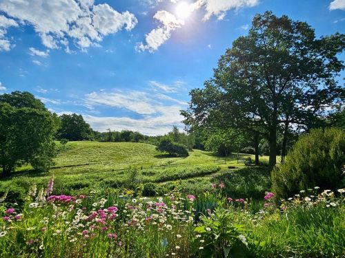 A vibrant landscape featuring green hills, colorful flowers, and a bright blue sky with fluffy clouds.