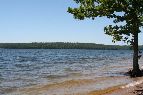 A serene lakeside view with gentle waves, sandy shore, and a tree on the left against a clear blue sky.