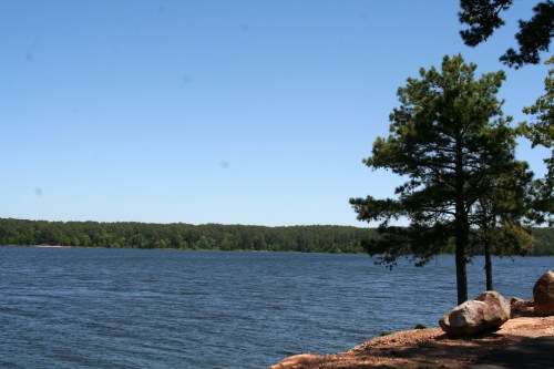 A serene lake view with trees along the shore under a clear blue sky.