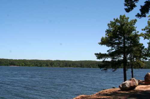 A serene lake view with trees along the shore under a clear blue sky.