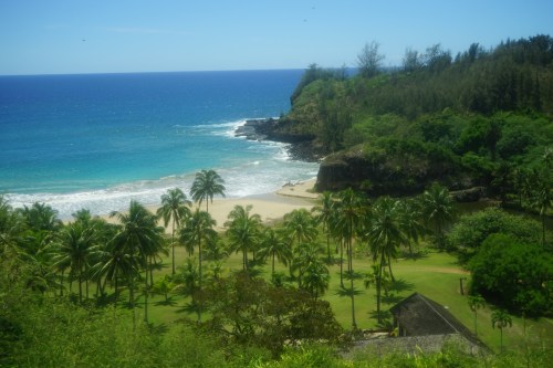 A scenic view of a tropical beach with palm trees, clear blue water, and lush green hills in the background.