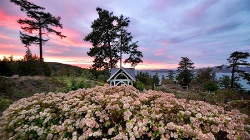 A scenic view of a sunset over a landscape with blooming flowers and trees, featuring a small gazebo in the foreground.