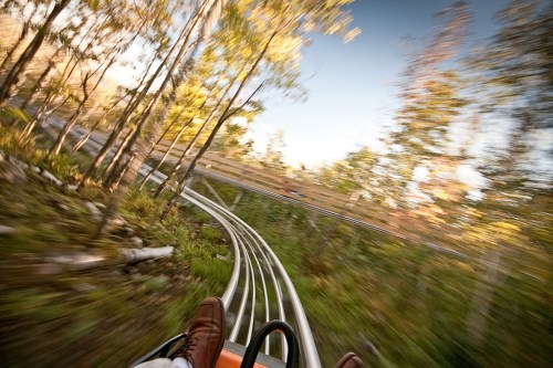 A thrilling view from a roller coaster, with trees rushing by and a sense of speed in a natural setting.