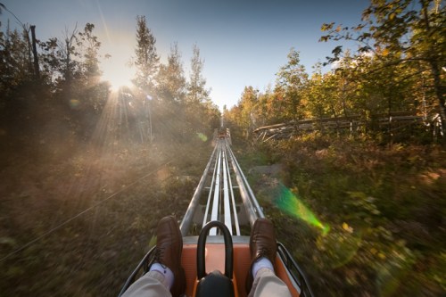 View from a roller coaster track, surrounded by trees, with sunlight filtering through the foliage.