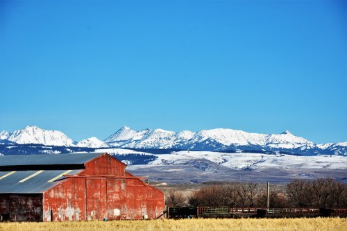 A red barn in a field with snow-capped mountains under a clear blue sky in the background.