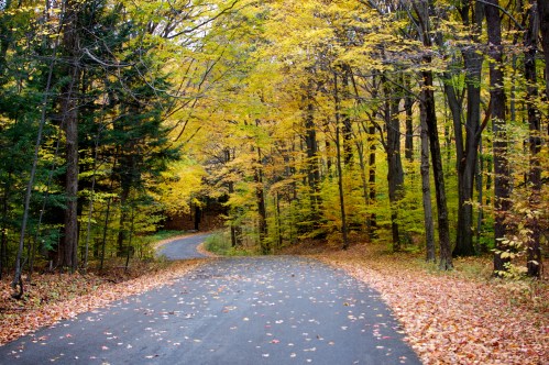 A winding road through a forest with vibrant autumn leaves in shades of yellow and orange.