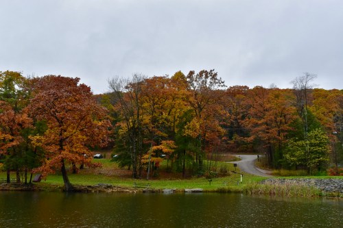 A serene lake surrounded by trees in vibrant autumn colors under a cloudy sky, with a winding road in the background.