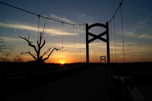 Silhouette of a suspension bridge at sunset, with a barren tree in the foreground against a colorful sky.