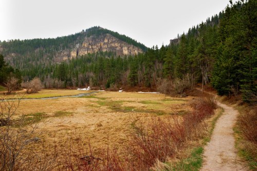 A winding path leads through a grassy field surrounded by trees and mountains under a cloudy sky.