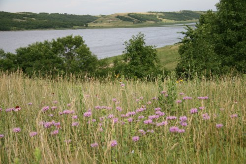 A scenic view of a river surrounded by green hills and wildflowers in a grassy field.