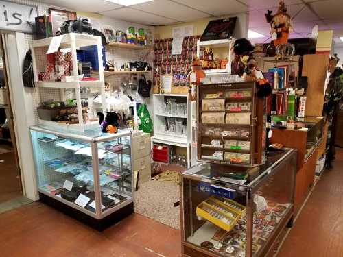 A cozy shop interior filled with various collectibles, displays, and merchandise on shelves and counters.