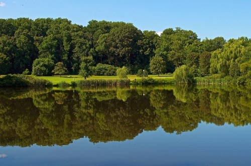 A serene lake reflecting lush green trees and a clear blue sky, creating a peaceful natural scene.