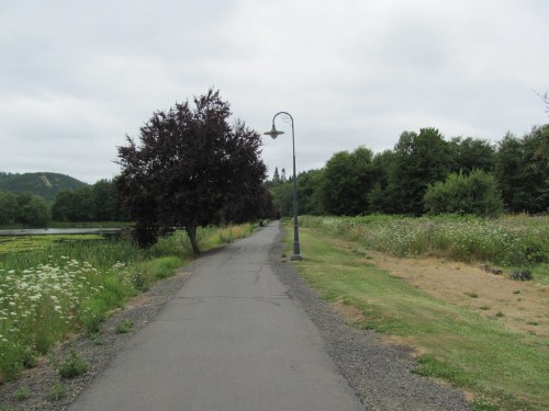 A paved path lined with trees and a lamp post, surrounded by greenery and a calm body of water under a cloudy sky.