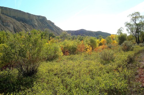 Lush green landscape with colorful autumn foliage and rocky hills under a clear blue sky.