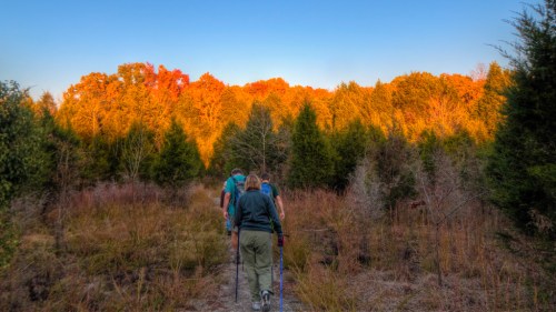 Three hikers walking on a trail surrounded by trees, with vibrant autumn foliage in the background under a clear sky.