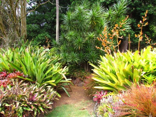 Lush garden path surrounded by vibrant tropical plants and colorful flowers.