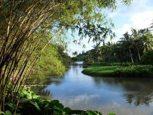 Lush greenery frames a serene river winding through a tropical landscape under a bright blue sky.