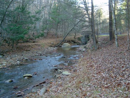 A serene stream flows through a wooded area, surrounded by autumn leaves and trees.