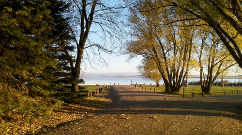 A serene pathway lined with trees leads to a calm lake under a clear blue sky, surrounded by autumn foliage.