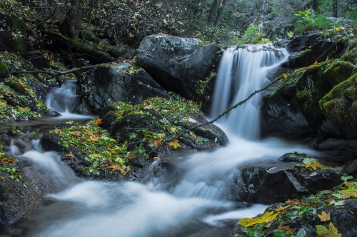 A serene waterfall cascades over rocks, surrounded by lush greenery and autumn leaves.
