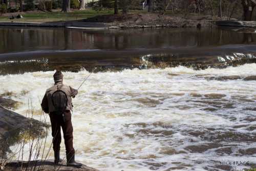 A person fishing by a river with a waterfall, surrounded by trees and a calm landscape.