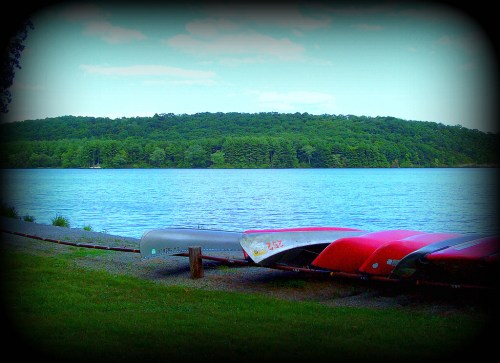 Canoes lined up on a grassy shore by a calm lake, surrounded by lush green trees and a clear blue sky.