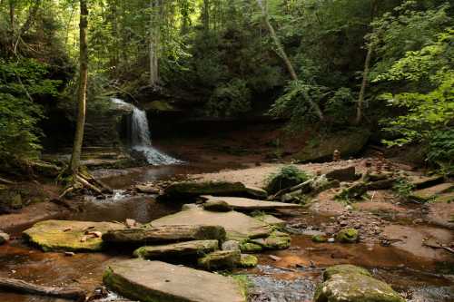 A serene forest scene featuring a small waterfall, rocky terrain, and lush greenery surrounding a tranquil stream.